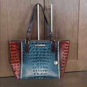 Medium Asher Ivy Figaro Brahmin purse